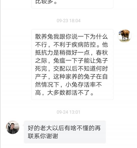 肉兔市场价格（（10）