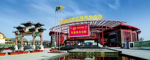 水菖蒲价格一斤多少钱（6月22日中药材市场快讯）