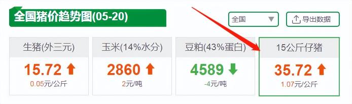 福建猪苗价格（仔猪价格）