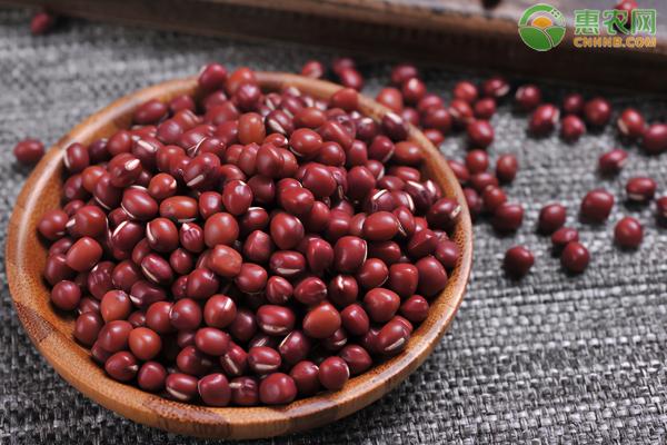 红豆价格（2020年红小豆价格行情怎么样）