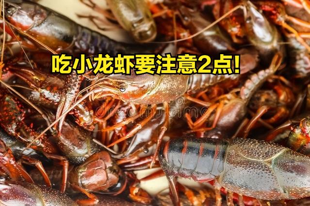 大龙虾价格（小龙虾不足10元一斤）