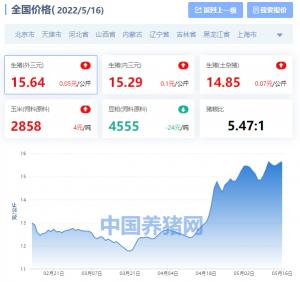 猪肉价格今日价格（全国生猪价格涨跌表）