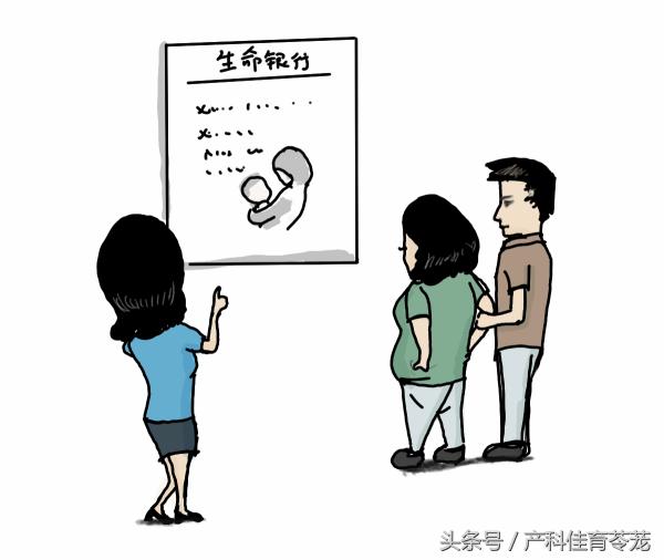 脐带血价格（脐带血）