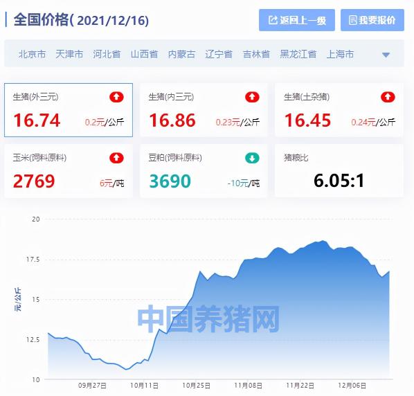 现在的猪肉价格多少钱一斤（全国生猪价格涨跌表）