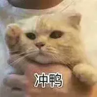 假发头套价格表（低端）