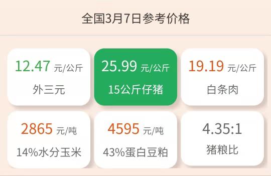 豬仔價格多少錢一頭（3月7日仔豬價格）