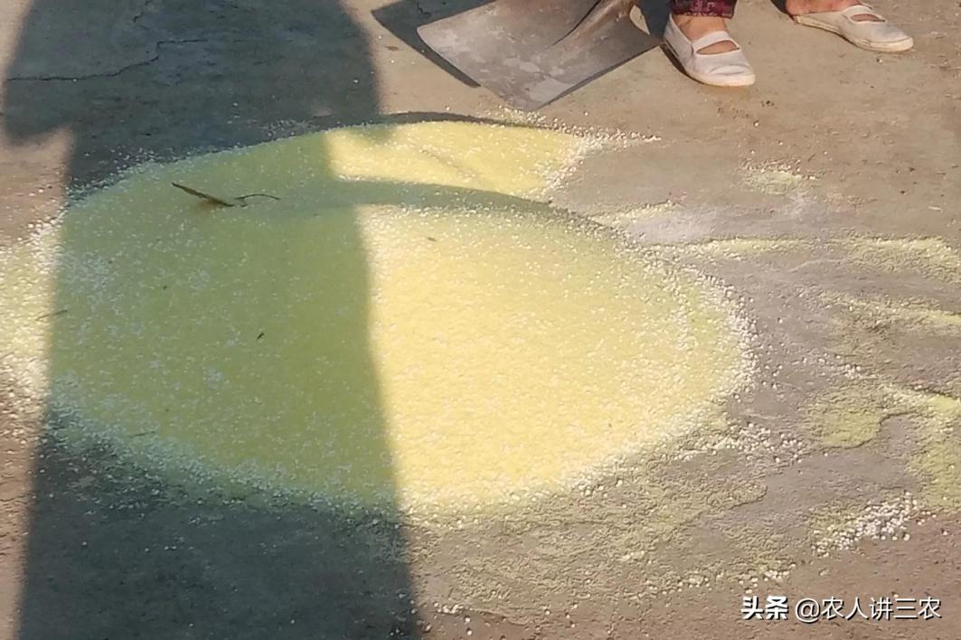 有机肥的价格（震撼暴涨）