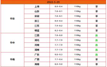 大猪价格（2022）