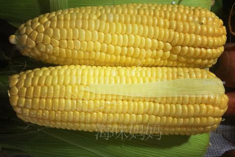 全国各地蔬菜价格表（今天）
