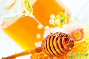蜂巢蜜的价格（目前蜂蜜多少钱一斤）
