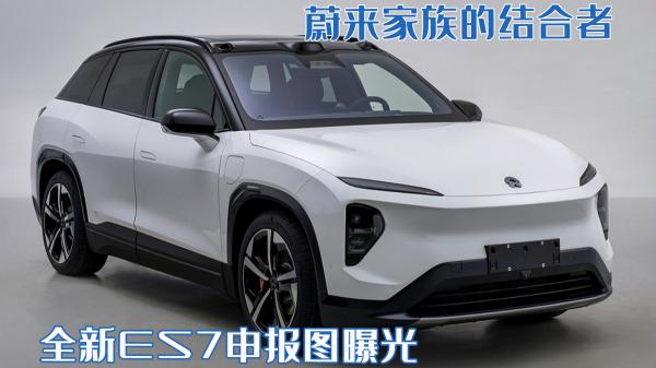 车子价格（蔚来家族的结合者）