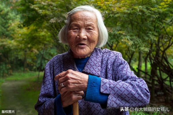 砖机价格（婆婆为40块一天的工资摔倒）