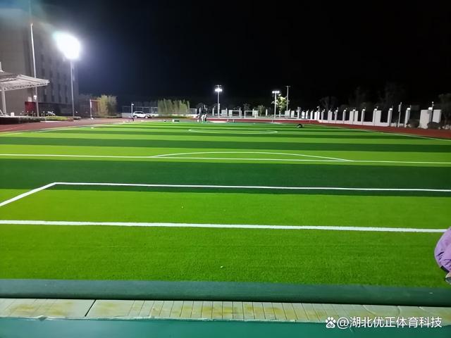 草皮价格（足球场人造草坪每平米价格）