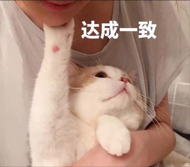 暹羅貓的價格（最）