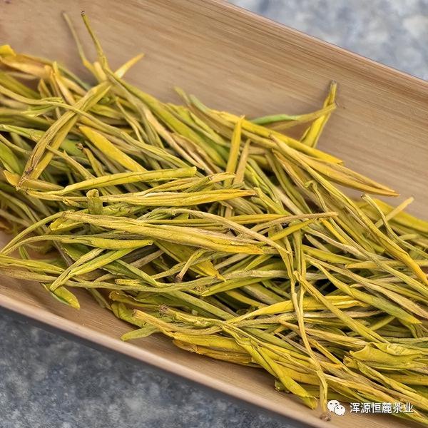 黃金芽屬于什么茶價格(綠茶黃金芽是什么茶)