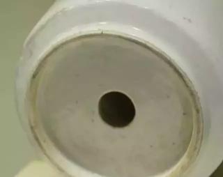 發財樹的價格（花市）