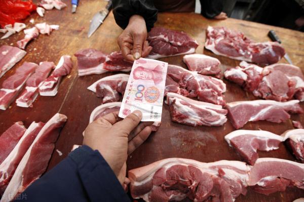 猪肉价格为什么大涨（猪价）