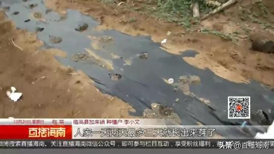 110的排水管价格（通水就爆裂的水管见过吗）