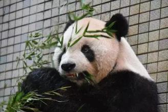 根管治疗牙套价格表（戴个牙冠有多重要）