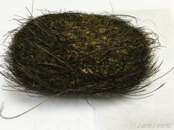猪砂的价格（专业养猪的你别干不专业的事）