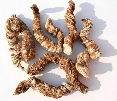 七叶一枝花种苗价格（500元）
