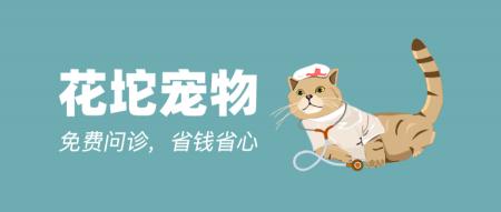火車寵物托運價格表（新年寵物托運保姆級指南）
