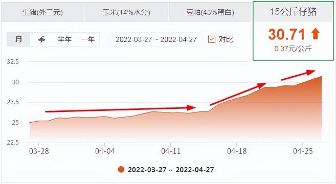 小猪价格（仔猪价格涨破30元）