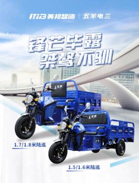 机动三轮车价格及图片（拉得重）
