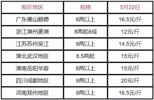 海鲈鱼价格（2022）