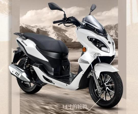大踏板摩托车价格及图片大全（你想要的长轴距）