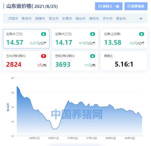 山东省生猪价格今日猪价最新价格（山东生猪价格涨跌表）