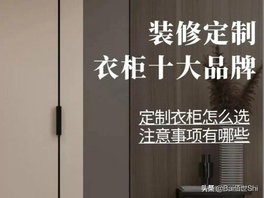 兔宝宝定制衣柜价格（装修定制衣柜十大品牌）