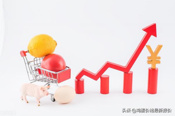 北京鸡蛋价格今天最新价（涨）