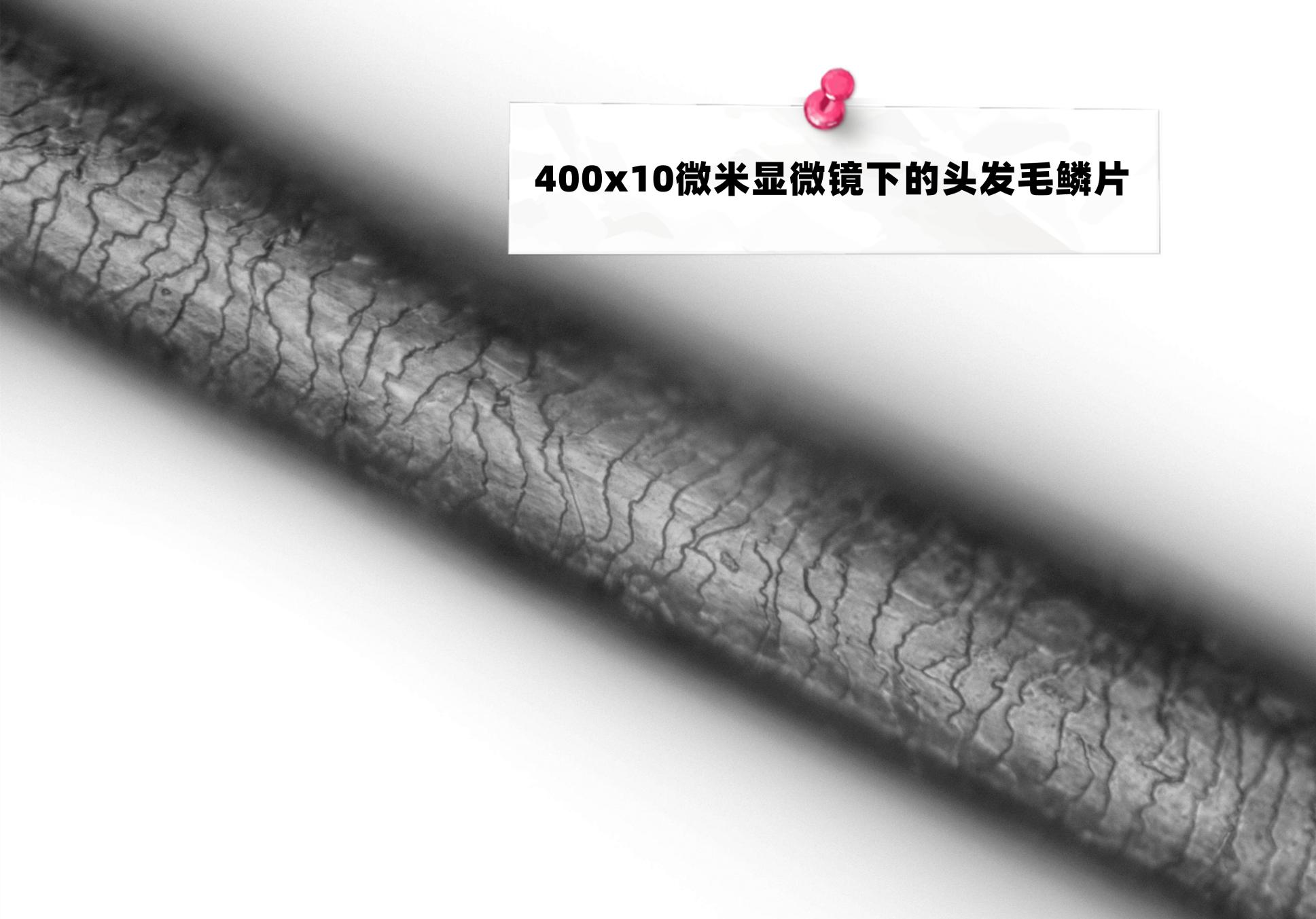 负氧离子发生器价格（同样是吹风机）