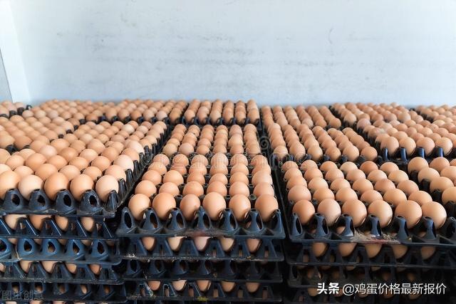 北京鸡蛋价格今天最新价（北京再跌15元）