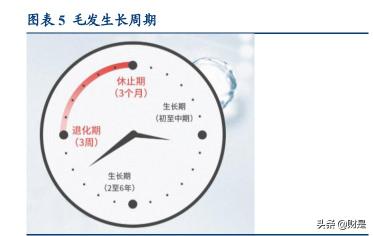纹发价格（植发医疗行业专题研究报告）