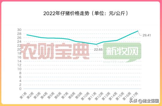 今日仔猪最新价格（仔猪涨至640元）