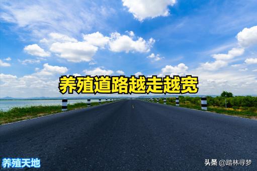 养殖牛草料价格（想都不敢想）