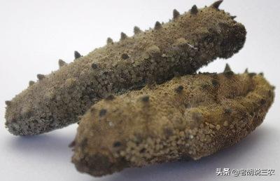 遼寧海參價格多少一斤（吃不起的海參）