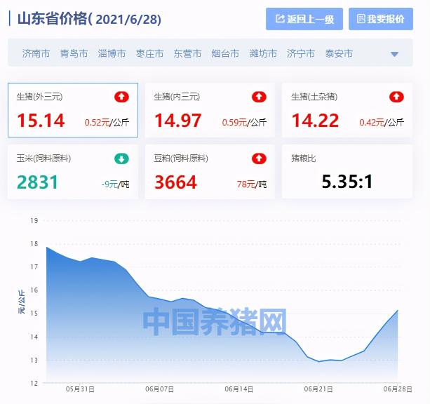 山东今日猪价生猪价格（山东省生猪价格涨跌表）
