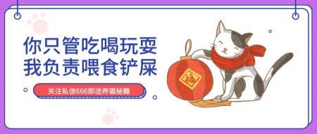 孟买猫价格（猫奴心中的5种白月光猫咪）