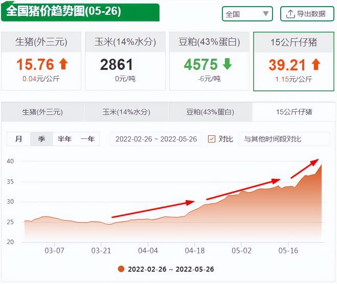 广东省小猪多少钱一斤（5月26日仔猪价格）
