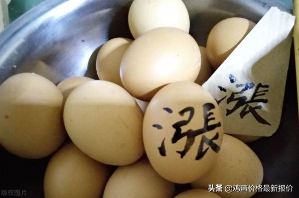 今日兰考鸡蛋价格（2022年4月28日鸡蛋价格最新行情）
