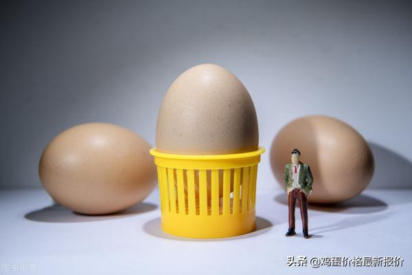 鸡蛋价格行情（鸡蛋价格行情）