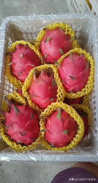 老撾西瓜批發(fā)價(jià)格行情（青島鼎信果品市場4月20號(hào)部分水果批發(fā)價(jià)格）