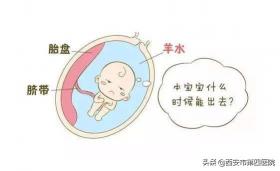 住院补充羊水要多少钱（有关羊水）