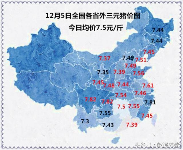 明天金锣生猪收购价格（12月5日全国猪价行情）