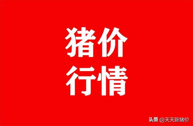 今天生猪价格表（猪价有变）