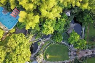 马鞍山三棵树入住价格（69岁大叔花费10年）
