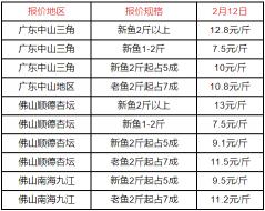 广东生鱼每天塘头价格（2022）